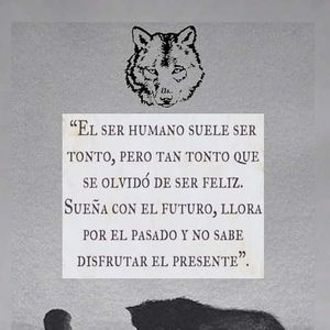 Meet your Posher, José